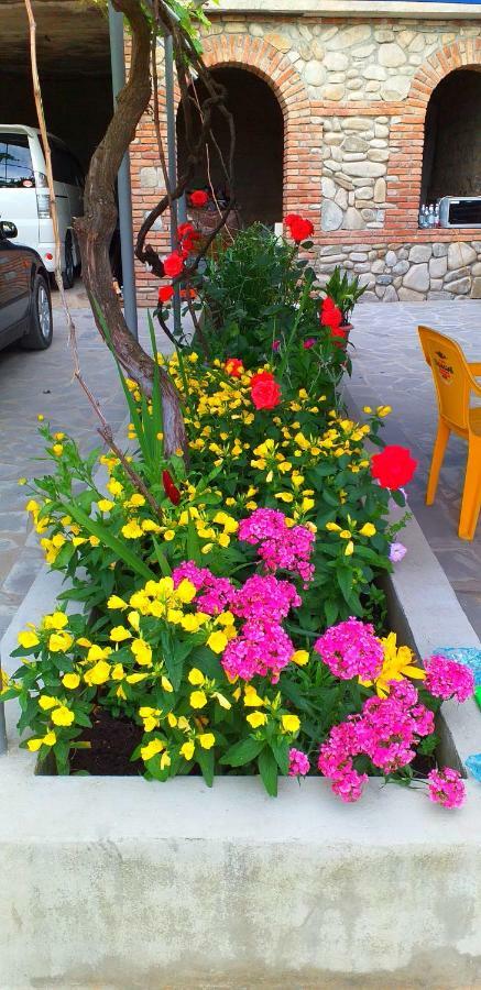 סינגאני Tsminda Giorgi Apartment מראה חיצוני תמונה